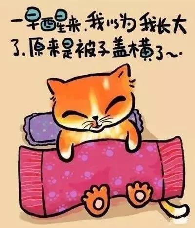經典的人生歪理，歪的很有道理！（牢牢收藏）