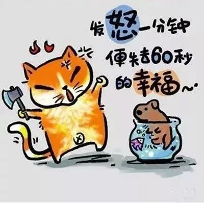 經典的人生歪理，歪的很有道理！（牢牢收藏）