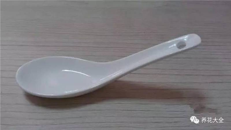 花盆裡面滴「1滴油，花1個月就爆盆，10 年不黃葉