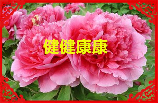 正月十六（添順日）財神下凡送您六筆財富、八個祝福，願您一順百順，發個不停