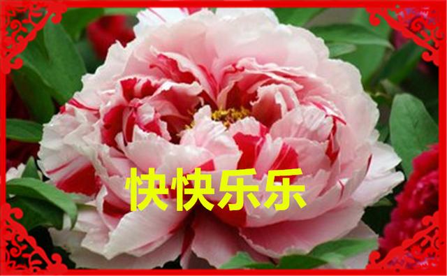 正月十六（添順日）財神下凡送您六筆財富、八個祝福，願您一順百順，發個不停