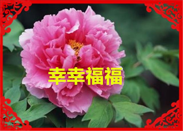 正月十六（添順日）財神下凡送您六筆財富、八個祝福，願您一順百順，發個不停