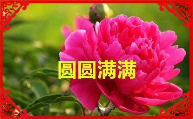 正月十六（添順日）財神下凡送您六筆財富、八個祝福，願您一順百順，發個不停