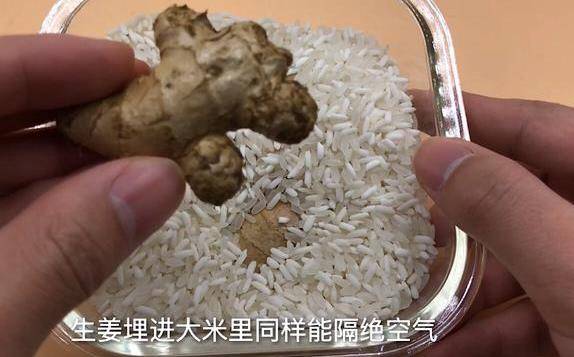 原來「保存生薑」很簡單！教你一個訣竅「不乾癟不壞」放上一年都新鮮