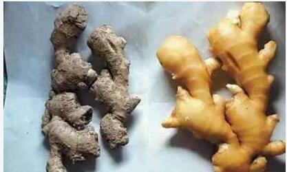 原來「保存生薑」很簡單！教你一個訣竅「不乾癟不壞」放上一年都新鮮
