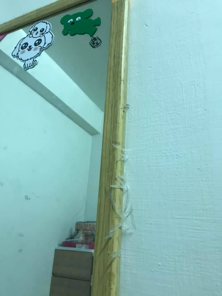 以為有喇牙！房間驚見「放射狀多腳肉蟲」嚇壞　靠近一看「異形真面目」網推爆：女生才懂的苦