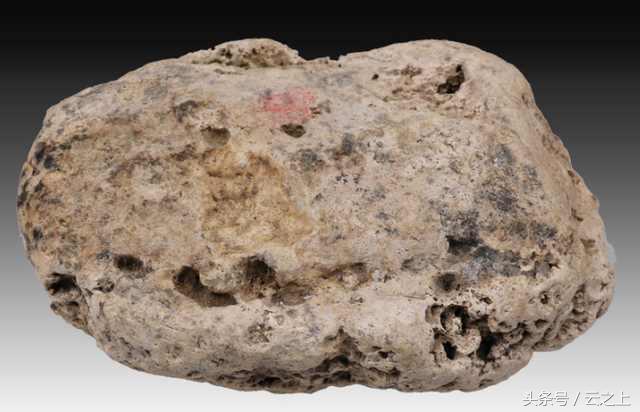 他在海邊撿到「發臭德國豬腳」被嫌翻　半年後「飄出驚人香氣」網友驚：可以退休了