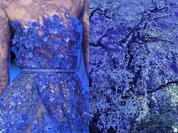 俄羅斯設計師推出「自然系禮服」紅遍全球　各種「超夢幻神作」證明：大自然是最棒的藝術家！