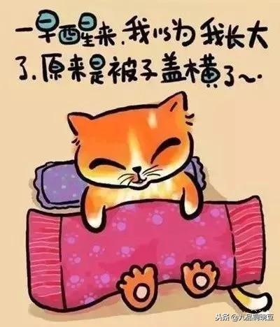 從這15個「歪理」品味出哲學！ 人生就像哈哈鏡 秘訣就是「笑看一切」