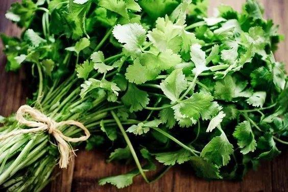 誰還買菜啊「空油桶剪一剪」秒變種菜神器，蔬菜多到吃不完