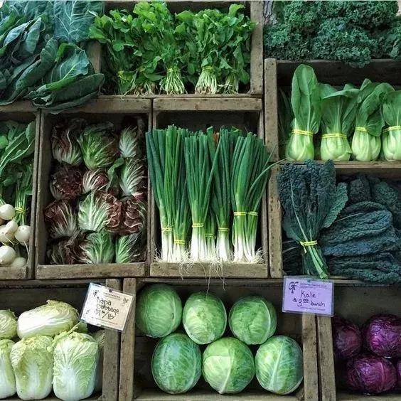 誰還買菜啊「空油桶剪一剪」秒變種菜神器，蔬菜多到吃不完