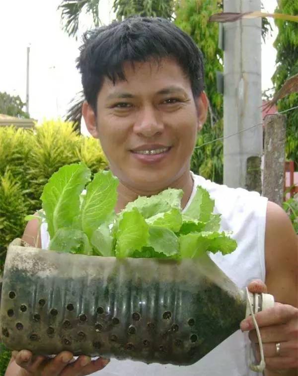 誰還買菜啊「空油桶剪一剪」秒變種菜神器，蔬菜多到吃不完
