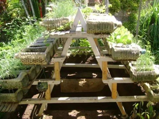 誰還買菜啊「空油桶剪一剪」秒變種菜神器，蔬菜多到吃不完