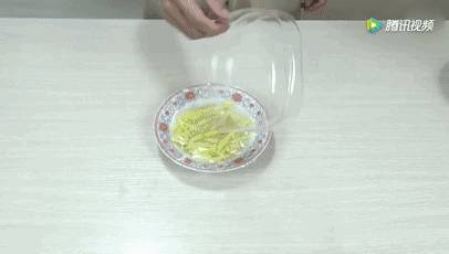誰還買菜啊「空油桶剪一剪」秒變種菜神器，蔬菜多到吃不完