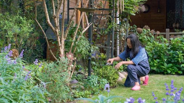 40歲前忙成狗「40歲後買房隱居」！打造一個人的「女王花園」   完美到人人都想來打卡