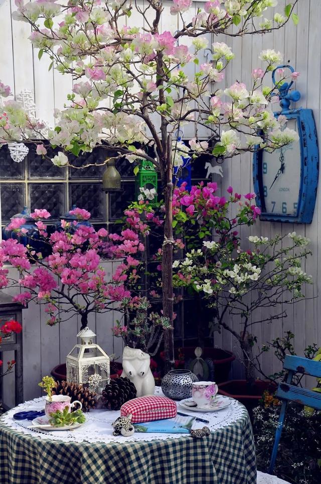40歲前忙成狗「40歲後買房隱居」！打造一個人的「女王花園」   完美到人人都想來打卡
