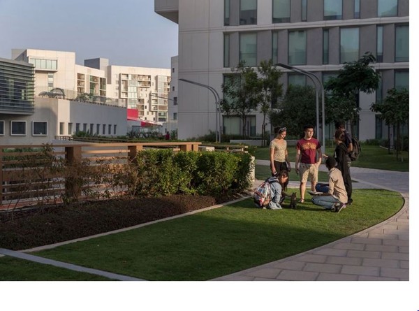 南一中學生錄取「世界最難進夢幻大學」！包吃包住包旅遊「還送千萬獎學金」：看重的不是成績