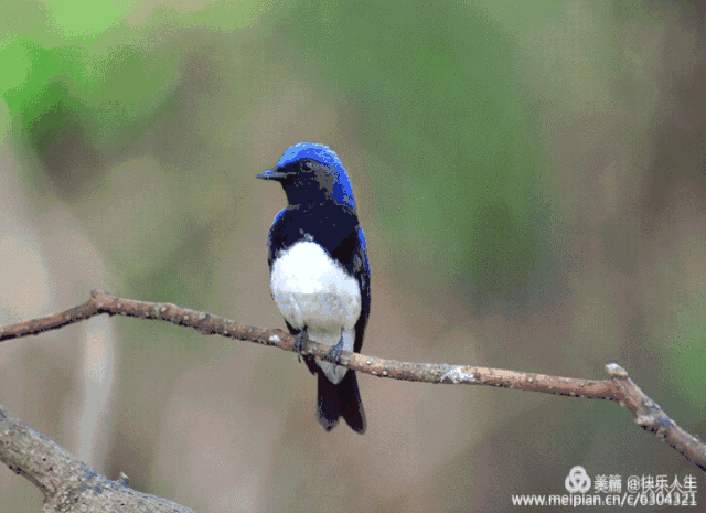 但行好事，莫問前程！3年前她救了一隻鳥  重病後竟換她「被這隻鳥救活了」