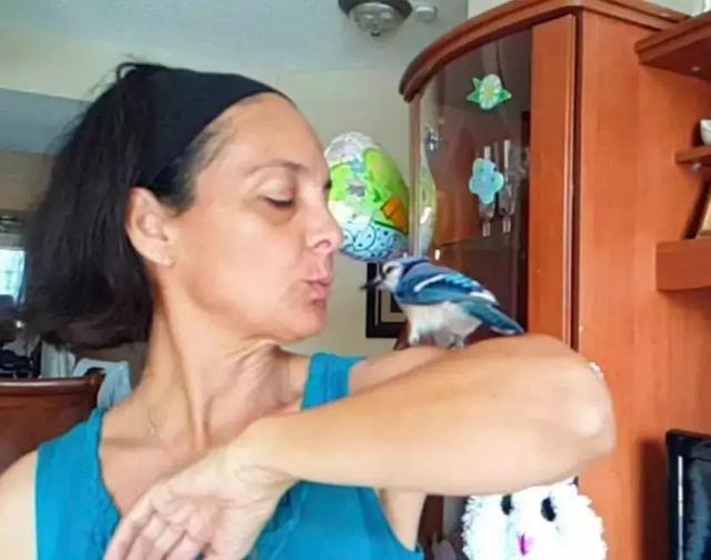 但行好事，莫問前程！3年前她救了一隻鳥  重病後竟換她「被這隻鳥救活了」
