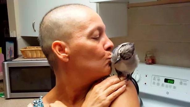 但行好事，莫問前程！3年前她救了一隻鳥  重病後竟換她「被這隻鳥救活了」