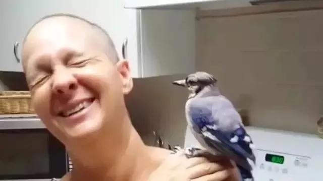 但行好事，莫問前程！3年前她救了一隻鳥  重病後竟換她「被這隻鳥救活了」