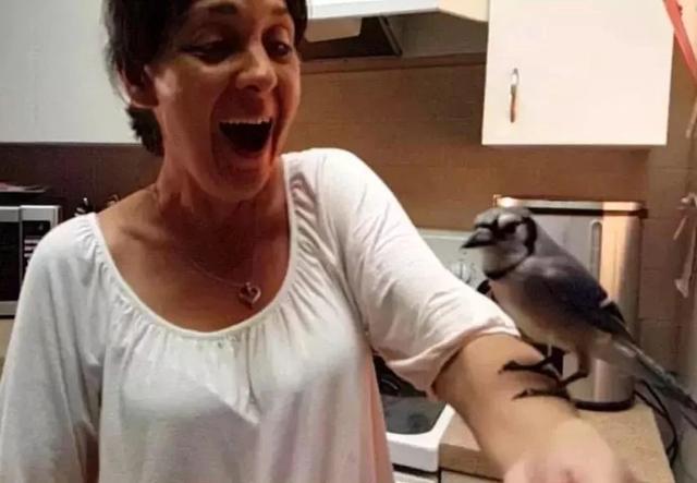 但行好事，莫問前程！3年前她救了一隻鳥  重病後竟換她「被這隻鳥救活了」