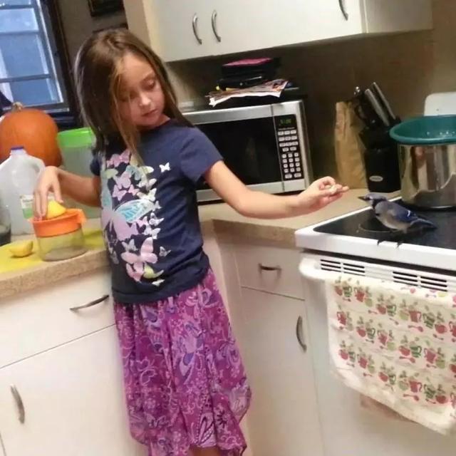 但行好事，莫問前程！3年前她救了一隻鳥  重病後竟換她「被這隻鳥救活了」