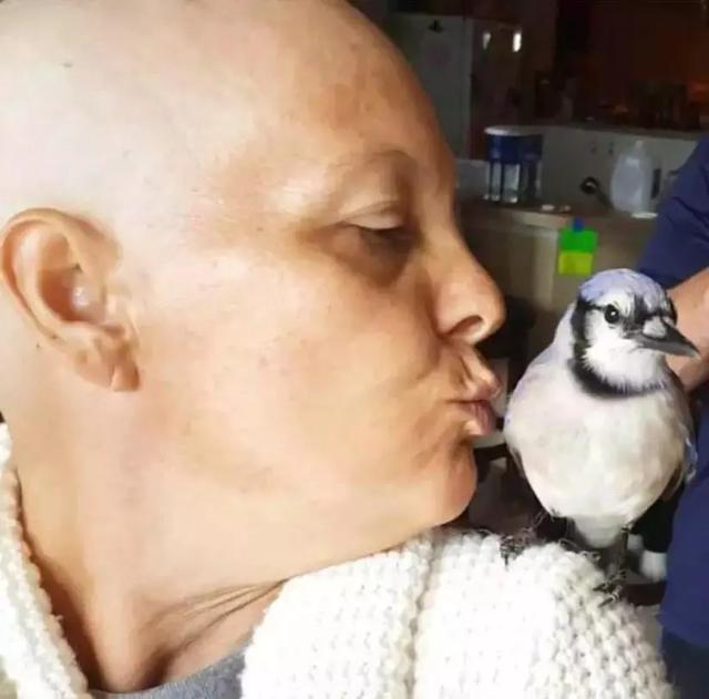 但行好事，莫問前程！3年前她救了一隻鳥  重病後竟換她「被這隻鳥救活了」