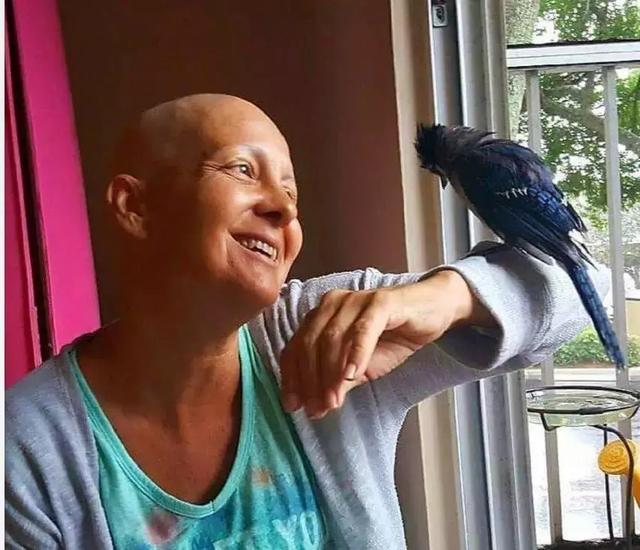 但行好事，莫問前程！3年前她救了一隻鳥  重病後竟換她「被這隻鳥救活了」