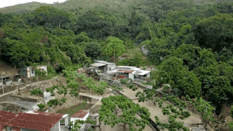 13年無房無車仍開心！高學歷夫妻「棄高薪當農民」，穿二手衣，每月只花100元養孩子