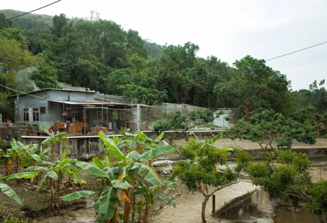 13年無房無車仍開心！高學歷夫妻「棄高薪當農民」，穿二手衣，每月只花100元養孩子