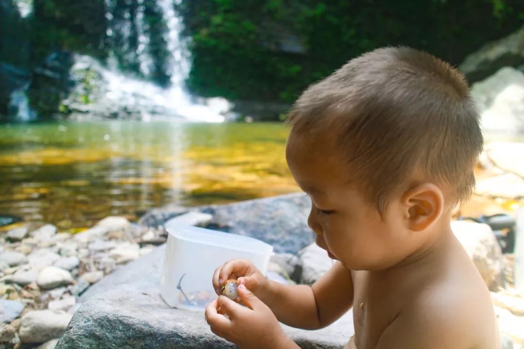 13年無房無車仍開心！高學歷夫妻「棄高薪當農民」，穿二手衣，每月只花100元養孩子