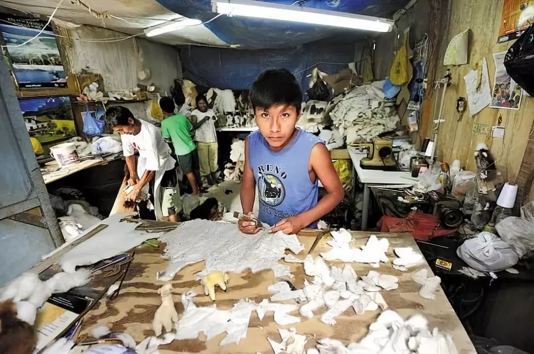 被老師罵瘋子，7歲男孩開「垃圾」銀行，自己當銀行行長，竟有2000人爭相存錢！