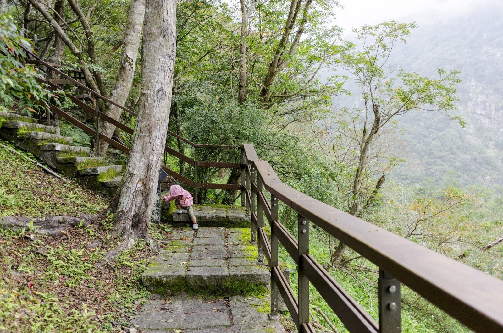 新加坡爸爸「單獨帶2歲女兒」前往台灣旅行！一踏上旅程「秒感受到媽媽的偉大」：發自內心佩服