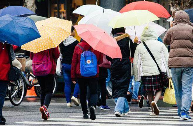 下一波更強！大陸冷氣團報到「低溫12度要來了」　春天回到冬天「全台雨連下8天」 