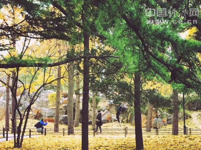 如果事與願違，請相信「一切都是最好的安排」 或許生命正在教會我們什麼！