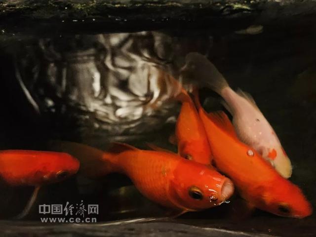 如果事與願違，請相信「一切都是最好的安排」 或許生命正在教會我們什麼！