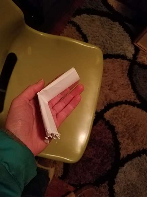 主子散步回家「帶了張紙條」？奴才一看笑翻：你對鄰居的浴缸做了什麼
