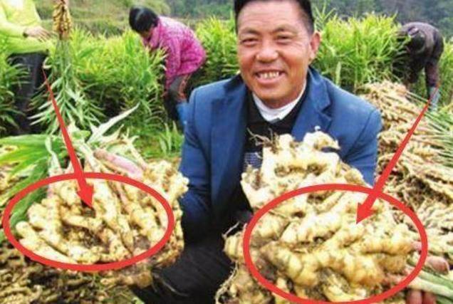 臥室內一定要保持乾淨！床頭放上3種東西「財神會不請自來」誰住誰發財