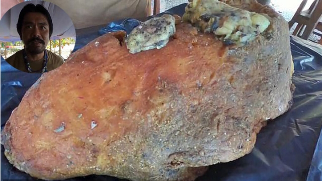 他在海邊撿到「發臭德國豬腳」被嫌翻　半年後「飄出驚人香氣」網友驚：可以退休了