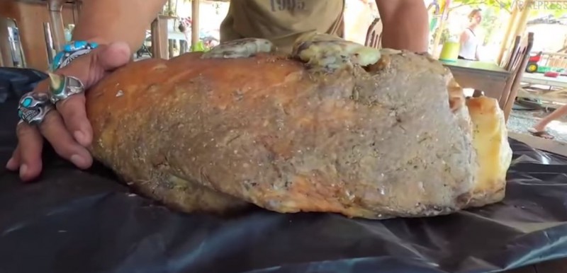 他在海邊撿到「發臭德國豬腳」被嫌翻　半年後「飄出驚人香氣」網友驚：可以退休了