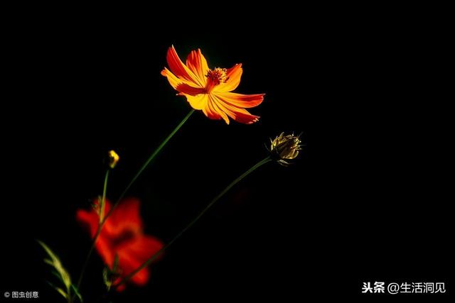 和朋友關係再好，也要留心「2個問題」（不可不知）