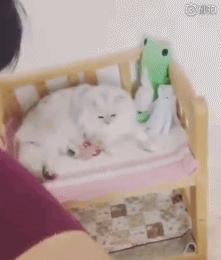 20年老友變摯愛！馮德倫、舒淇：原來最合適的一直在身邊　「從不說愛你」卻低調護愛