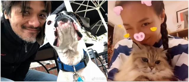 20年老友變摯愛！馮德倫、舒淇：原來最合適的一直在身邊　「從不說愛你」卻低調護愛