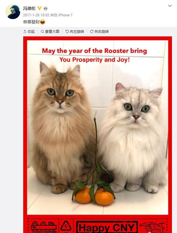 20年老友變摯愛！馮德倫、舒淇：原來最合適的一直在身邊　「從不說愛你」卻低調護愛