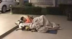 惹老婆生氣！男子被趕去睡門口「拖狗狗下水」　無辜二哈：干我P事膩