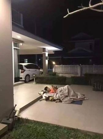 惹老婆生氣！男子被趕去睡門口「拖狗狗下水」　無辜二哈：干我P事膩