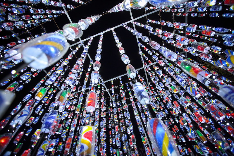 還沒結束！台灣燈會「最夢幻生命樹」成大鵬灣人氣王　政府決定「把它移到這裡」繼續發光