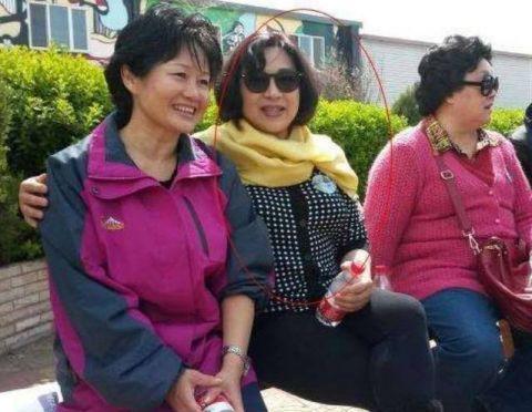 李連杰兩任妻子生活差很大！前妻在美容院「打工10年」 她卻「坐擁20億財產」無憂無慮
