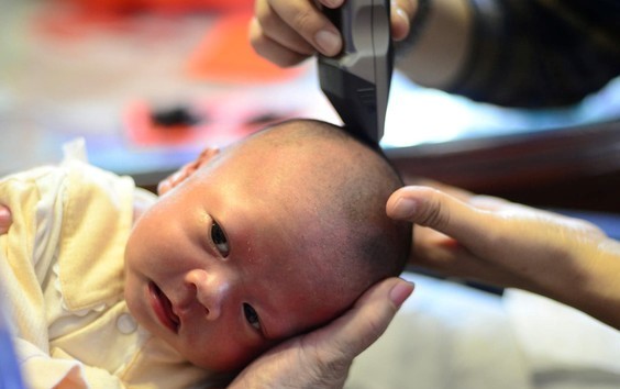 曾和愛貓約定「來當我孩子」！寶寶「出生後剃頭」她哭了：媽媽認得你...